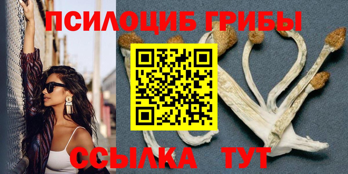 Псилоцибиновые грибы MAGIC MUSHROOMS Чусовой
